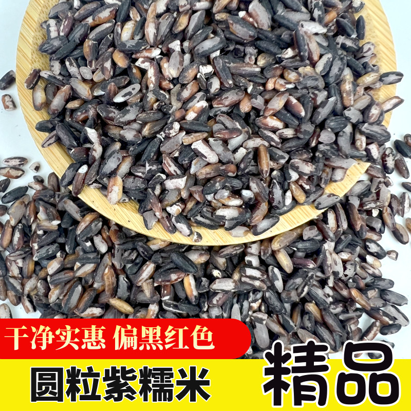 新货云南墨江紫糯米紫米散装农家新米长粒血糯米奶茶店饭团圆粒