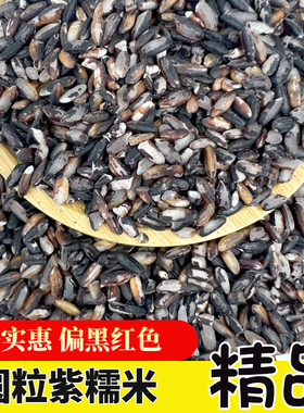 新货云南墨江紫糯米紫米散装农家新米长粒血糯米奶茶店寿司饭团