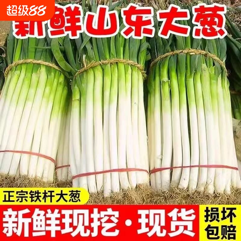 2025山东新鲜大葱5斤铁杆长白章丘甜葱正宗非洋葱蔬菜批发包邮5