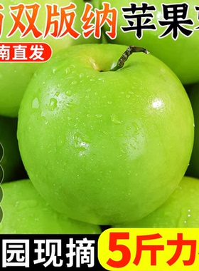 现摘版纳苹果枣当季新鲜水果苹果枣贵妃冬枣9斤蜜枣整箱