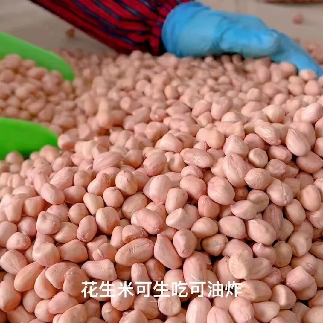 南南阳白沙生大白沙花生仁花生米 优质无壳生晒批发 晒干发货