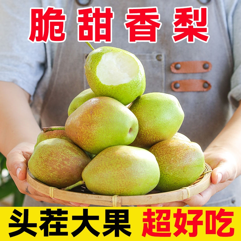 正宗香梨新鲜水果梨子当季薄皮脆甜红香酥梨9斤整箱大果特价包邮
