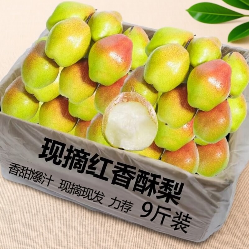 正宗新鲜红香酥梨8.5斤应当季红皮梨甜薄皮梨子酥梨蜜梨水果现摘