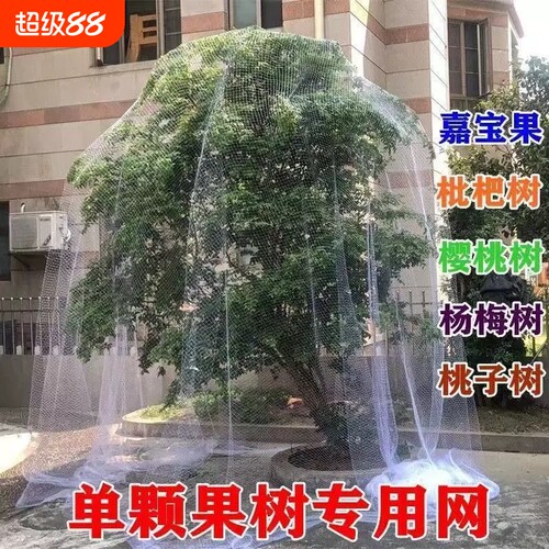 果树防雀网防鸟网樱桃树嘉宝果