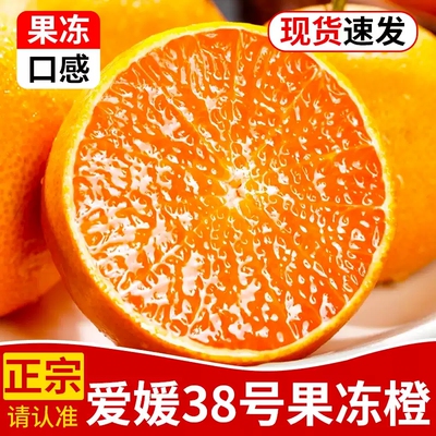 正宗爱媛38号果冻橙橙子