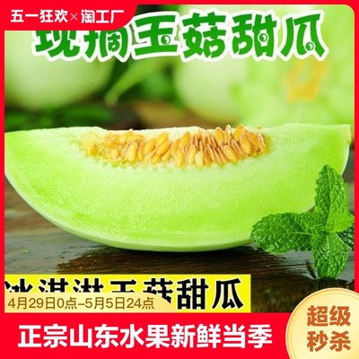 【玉菇甜瓜好评榜】官方专卖店