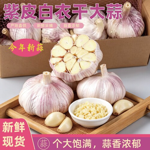 2026年新蒜紫皮白衣大蒜头带皮新鲜多瓣干蒜生鲜蔬菜调料蒜自种
