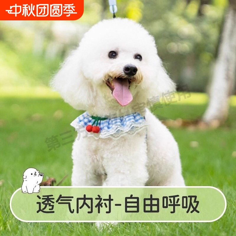 背心式狗狗牵引绳小型犬泰迪比熊博背带宠物幼犬遛狗绳狗链子