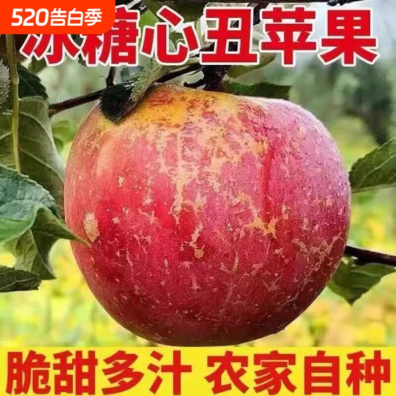批发正宗红富士苹果新鲜脆甜水果当季现摘冰糖心整箱鲜果大果优选
