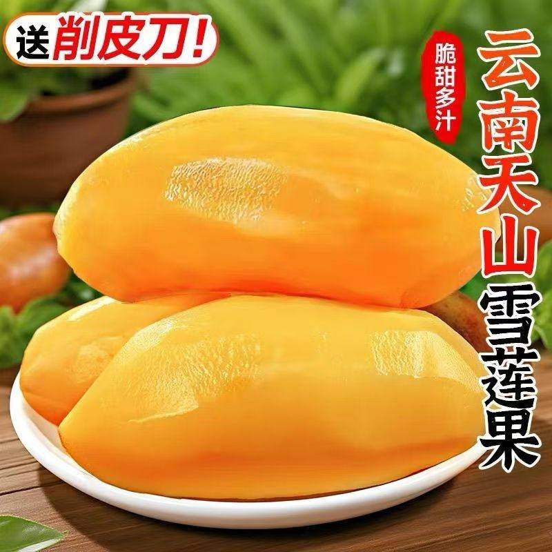 云南天山雪莲果9斤新鲜水果当季现挖脆甜黄心雪连果孕妇水果,水产肉类/新鲜蔬果/熟食,雪莲果,淘宝优惠券,粉丝福利购,淘宝优惠卷