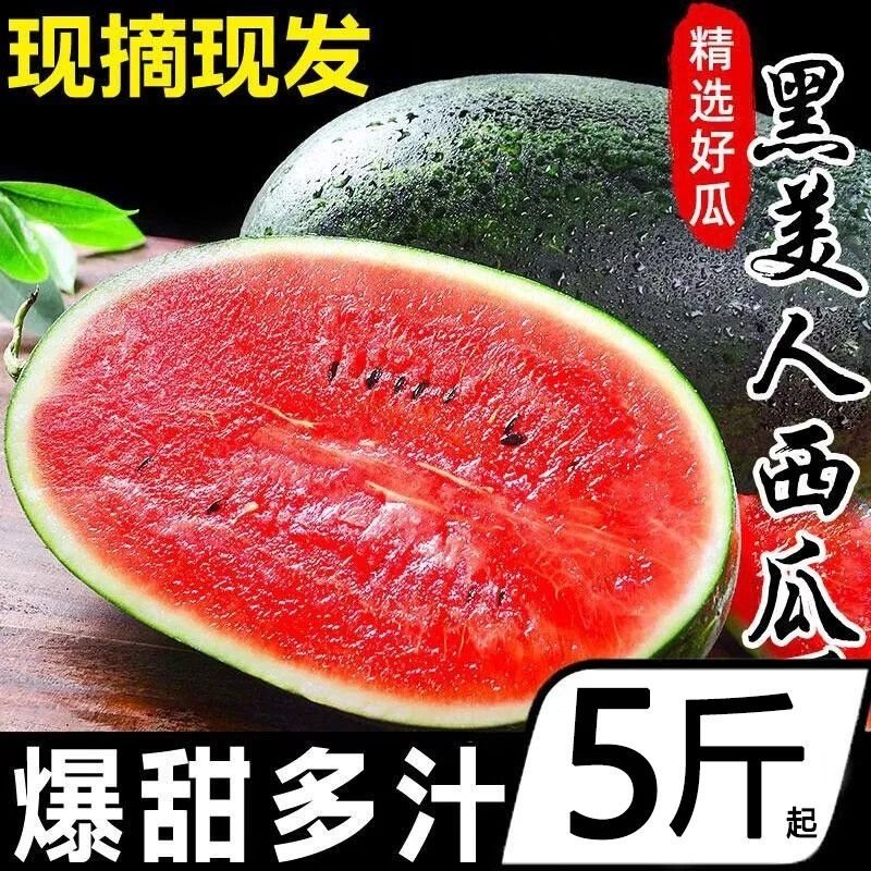 正宗越南黑美人西瓜新鲜脆甜西瓜应当季水果冰糖西瓜新鲜水果包邮,水产肉类/新鲜蔬果/熟食,西瓜,淘宝优惠券,粉丝福利购,淘宝优惠卷
