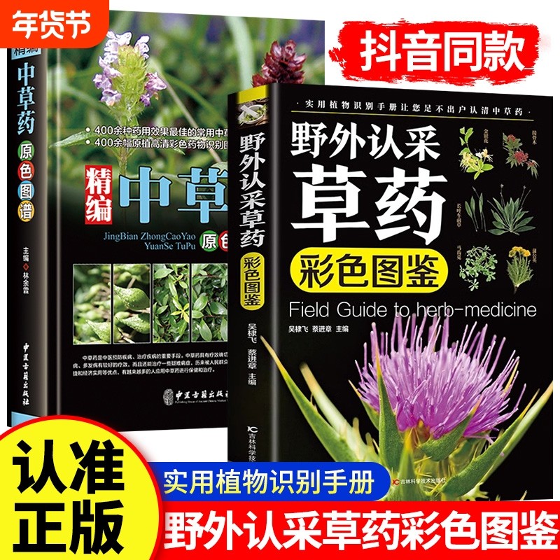 全2册野外认采草药彩色图鉴 高清彩图中草药鉴别与应用实用草药大全植物野外识别手册中华汉方快速认药图谱精编中草药学草药材入门