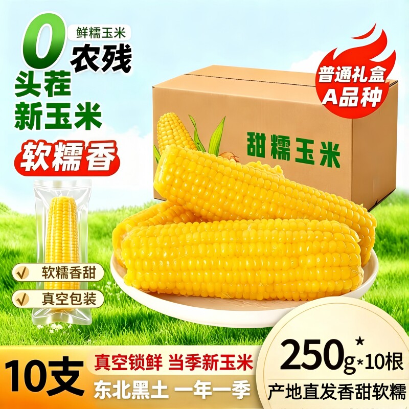 东北正宗头茬黄糯玉米棒黏糯玉米新鲜代餐早餐加热即食真空香甜