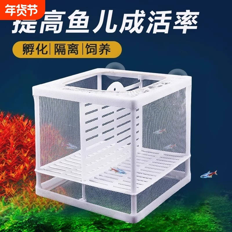 鱼缸繁殖隔离盒隔离网孔雀鱼大号孵化器热带鱼小鱼苗繁殖箱分离网