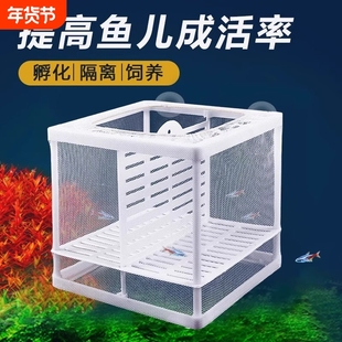 鱼缸繁殖隔离盒隔离网孔雀鱼大号孵化器热带鱼小鱼苗繁殖箱分离网