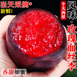 黑布林红肉大李子红心脆李新鲜水果应当季现摘恐龙蛋大果整箱包邮