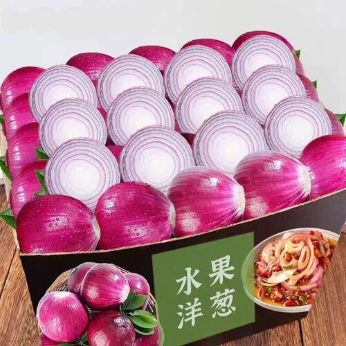 紫皮洋葱农家脆甜紫皮圆葱头新鲜