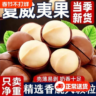 夏威夷果奶香原味2026新货整箱500g坚果炒货年货干果零食批发团购