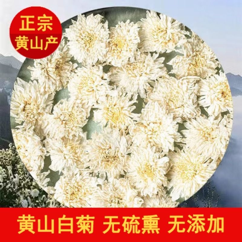 白菊花七月菊500g金丝皇菊黄山贡菊菊花茶组合茶菊花去火当季新货-封面