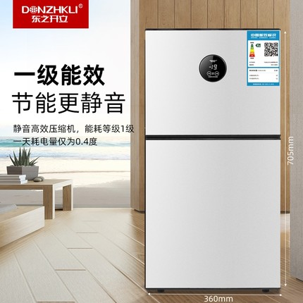 东之开立冰箱小型家用双开门厨房一级能效小冰箱冷冻节能两用双门