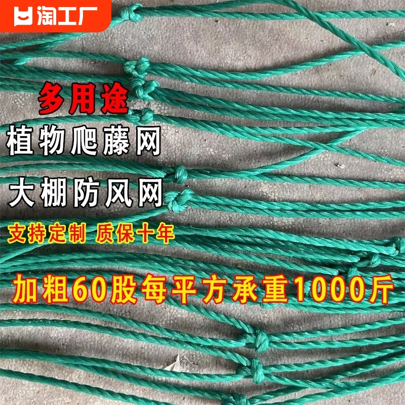 植物爬藤网园艺搭架网丝瓜藤曼攀爬网大棚防风网瓜蒌种植网阳台