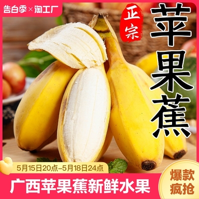 正宗广西苹果蕉当季水果新鲜自然熟banana10粉蕉小米香蕉芭蕉包邮