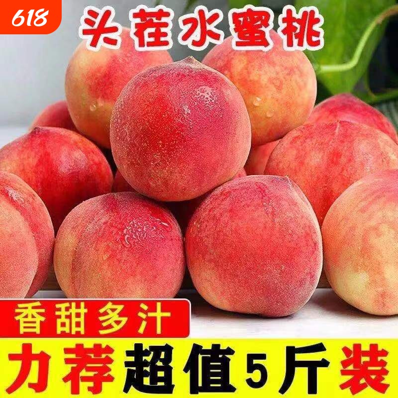正宗水蜜桃现货甜桃子新鲜脆桃毛桃软脆桃现摘孕妇水果当季新鲜