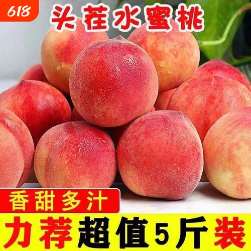 正宗水蜜桃现货甜桃子新鲜脆桃毛桃软脆桃现摘孕妇水果当季新鲜