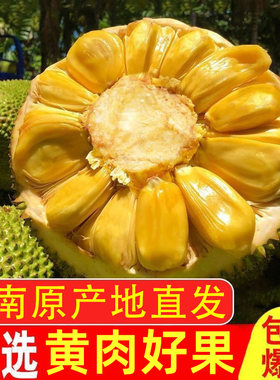 海南三亚干苞黄肉菠萝蜜