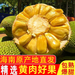 海南黄肉菠萝蜜产地一整个新鲜水果波罗蜜三亚特产包邮大果热带