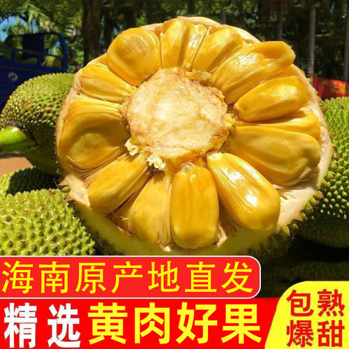 海南三亚干苞黄肉菠萝蜜
