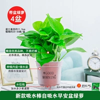 120#замороженный ранний бассейн [4] горшок +5 жира 1