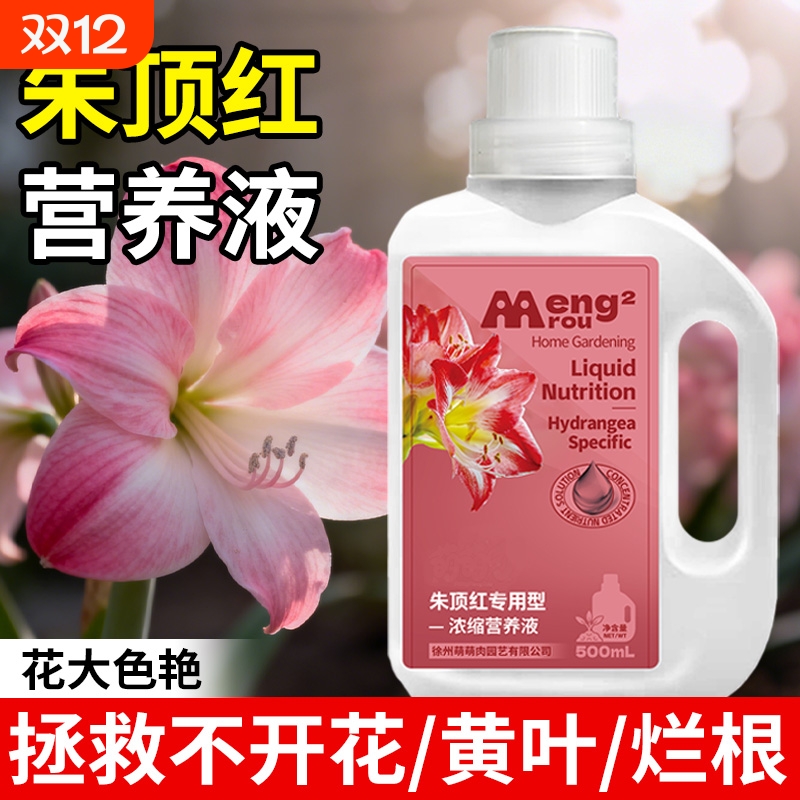 朱顶红营养液专用肥料室内盆栽植物富贵花促开花爆盆开花肥氮磷钾