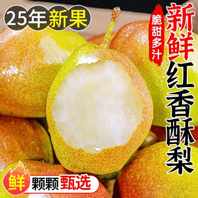 当季红香酥梨,保脆保甜,特别好吃