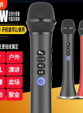 快乐相伴L-698k歌麦克风话筒车载K歌宝15瓦功率声卡无线蓝牙