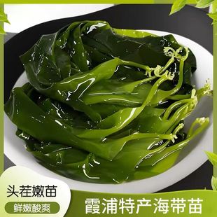 霞浦特产海带海带苗鲜嫩脆嫩 头水新鲜免洗 凉拌火锅煲汤美味