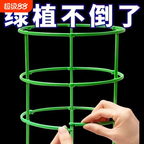 花架子家用爬藤架火龙果月季蟹爪兰绿萝太阳花植物爬藤支撑杆花卉