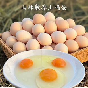 九华山深山散养土鸡蛋30枚高山竹林蛋宝宝月子鸡蛋送货上门40g