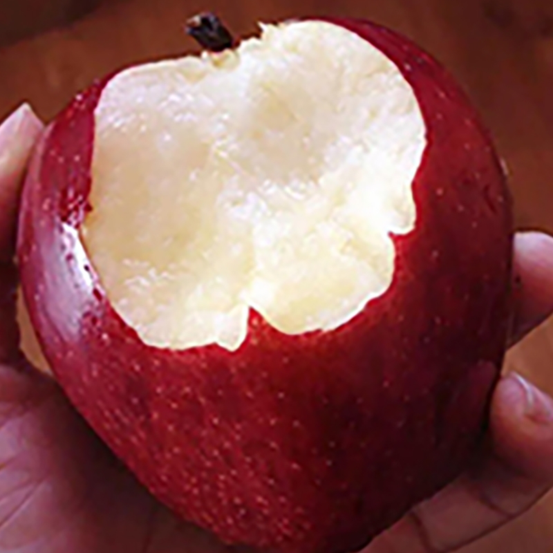 甘肃天水花牛苹果新鲜水果整箱当季老人小孩脆甜糯红蛇花牛苹果