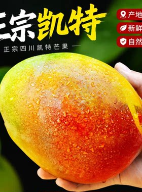 四川攀枝花凯特芒纯甜肉厚顺丰