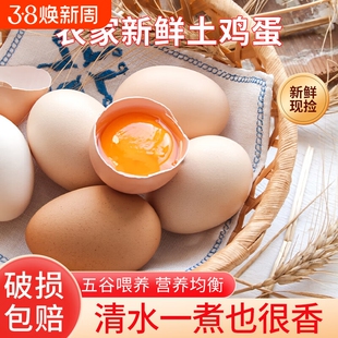 正宗农家土鸡蛋柴鸡蛋散养谷物鸡蛋50枚鲜鸡蛋营养早餐