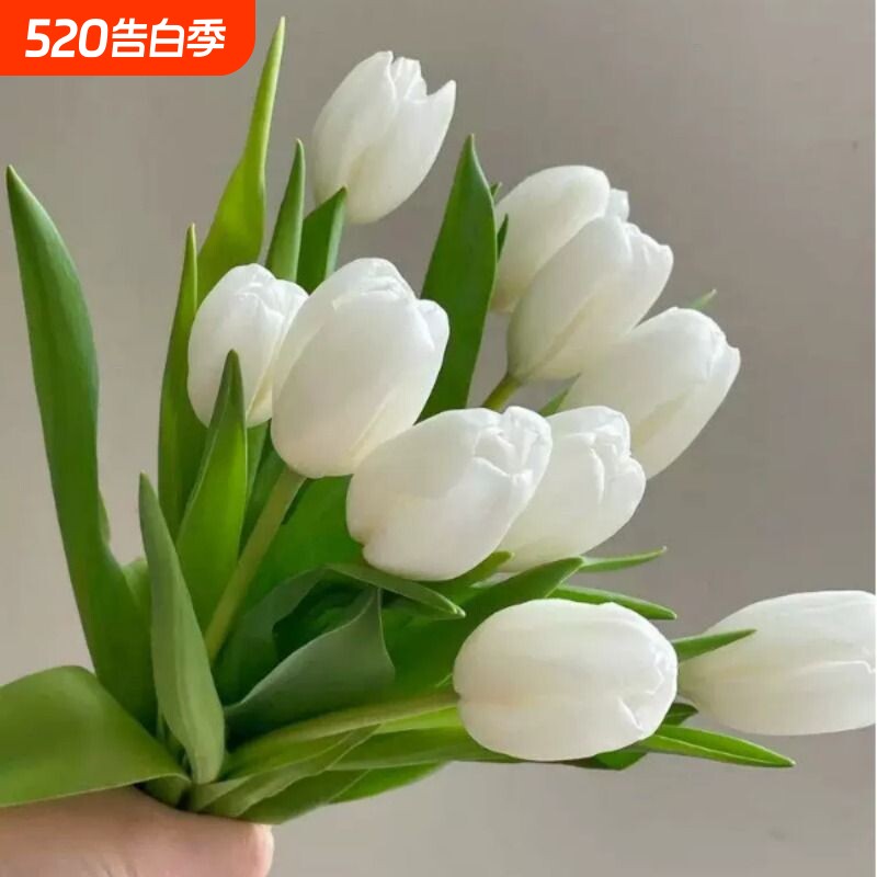 郁金香鲜切花上海同城鲜花速递家用瓶插花艺装饰江浙沪皖两扎包邮