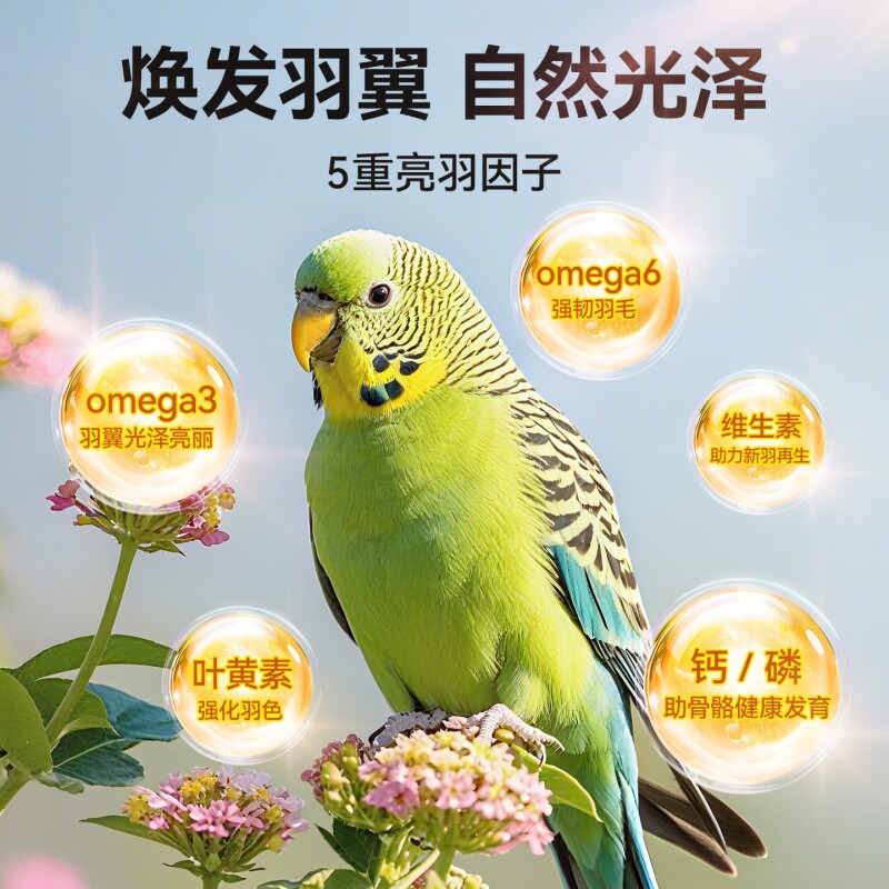 虎皮鹦鹉鸟粮小太阳稻谷饲玄凤料牡丹粮食混合鸡饲鹦鹉料零食鸟食