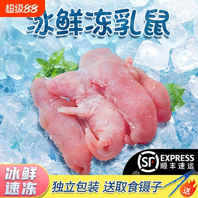 顺丰冰冻乳鼠爬宠食物小白鼠冰冻鼠无菌红皮乳鼠喂蛇饲料老鼠喂蛇
