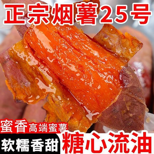 【为烤而生】正宗烟薯25号糖心红薯沙地蜜薯番薯烤地瓜蔬菜山芋