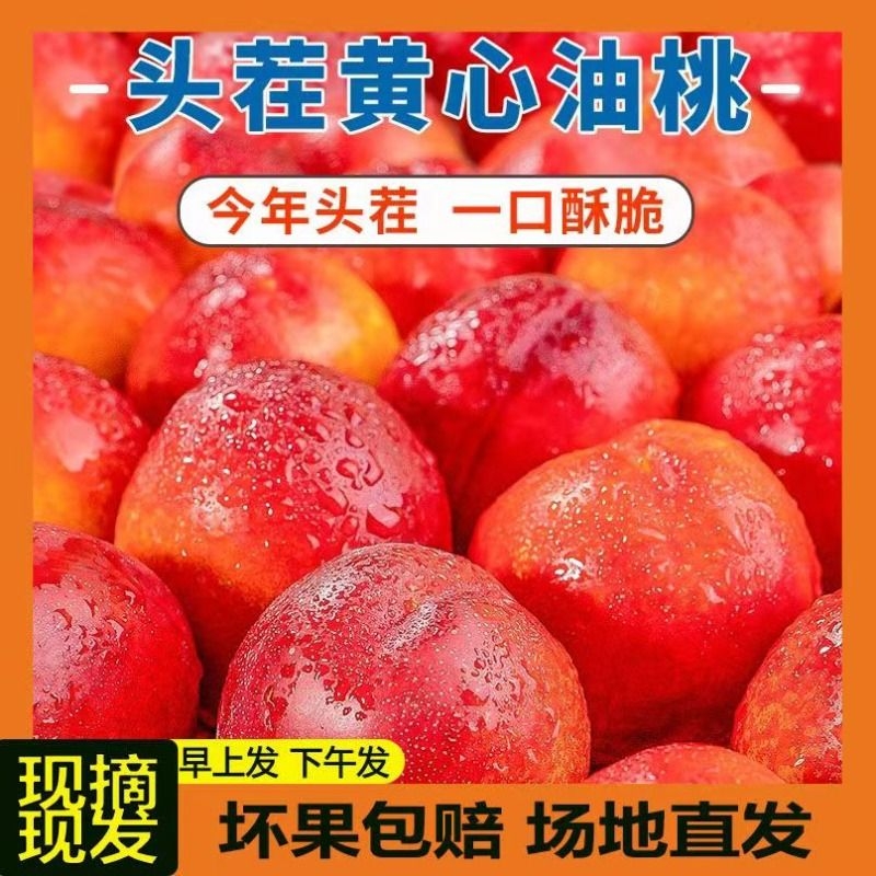 黄心油桃5斤当季甜大桃子新鲜水果整箱黄肉孕妇蜜脆桃10斤脆甜