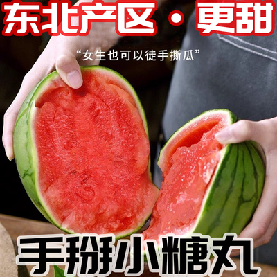 精品西瓜新鲜小糖丸手剥薄皮当季多汁脆甜小吊瓜顺丰沙瓤冰淇淋