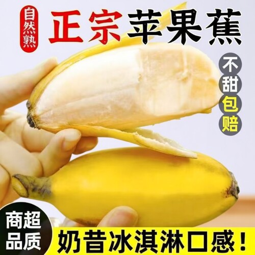 正宗广西苹果蕉香蕉新鲜自然熟当季水果粉蕉非小米芭蕉香焦