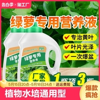绿萝营养液通用型水养花植物水培绿萝营业液专用花肥料家用营养剂
