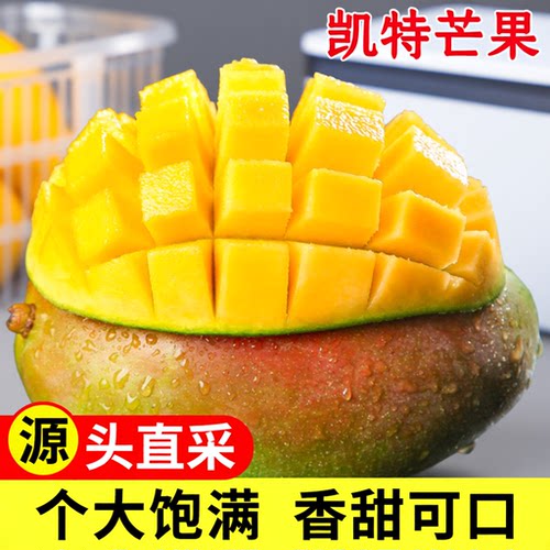 四川凯特芒果新鲜应季水果个大整箱包邮果肉自提配送香蕉种植